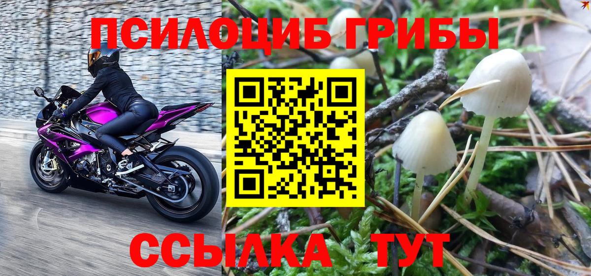 Псилоцибиновые грибы GOLDEN TEACHER Ногинск