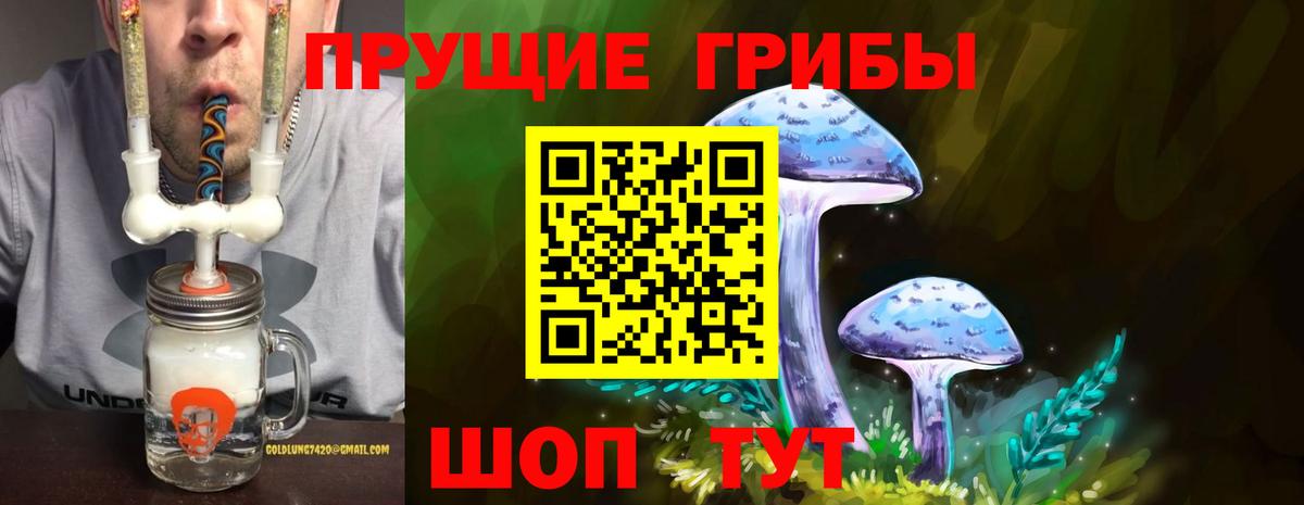 Ногинск  Галлюциногенные грибы Magic Shrooms  Вход с VPN 
